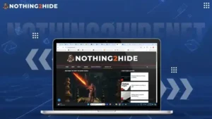 www nothing2hidenet