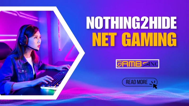 Nothing2Hide Net Gaming: The Future of Online Play